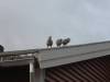 rondje-noord-18-3