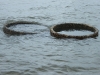 13)7